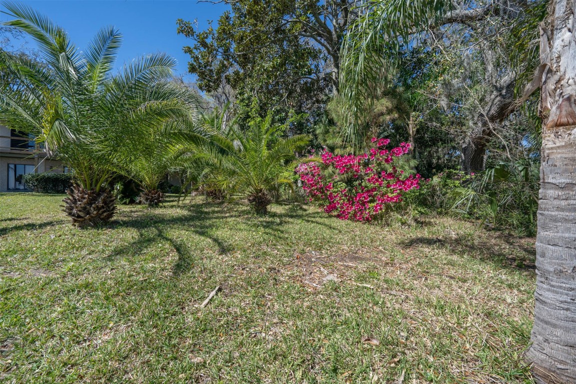 97578 Pirates Point Road Yulee, FL 32097 - Photo 45 of 64 a view of a backyard with plants and large trees