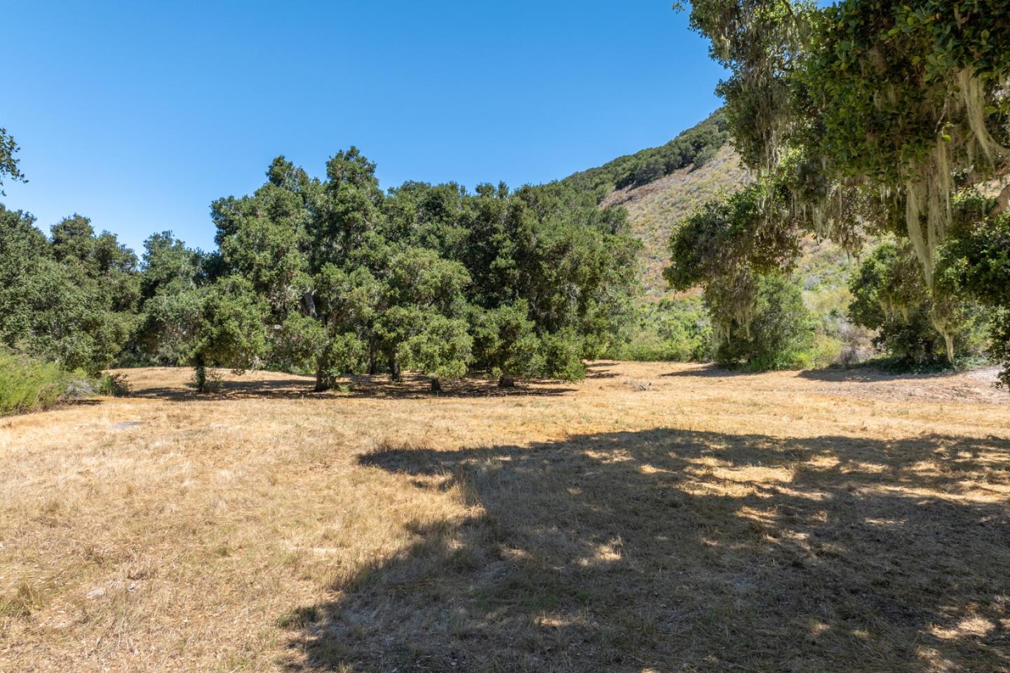 4 Goodrich Trail Carmel, CA 93923 - Photo 4 of 18 a view of a yard with a house