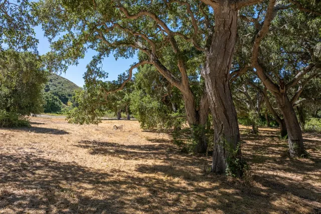 a view of a mountain with a yard