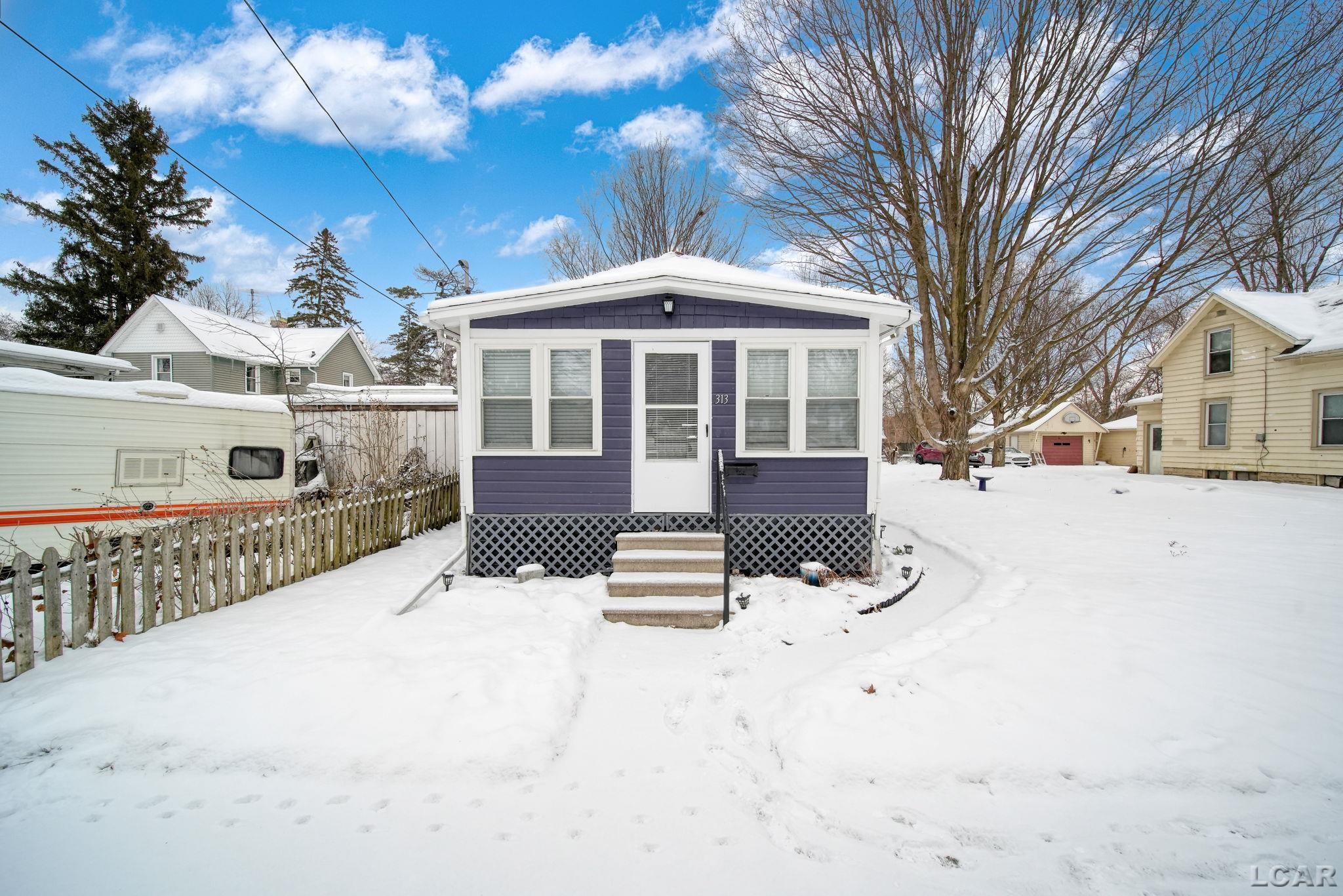 313 Rice Street Adrian, MI 49221 - Photo 2 of 32