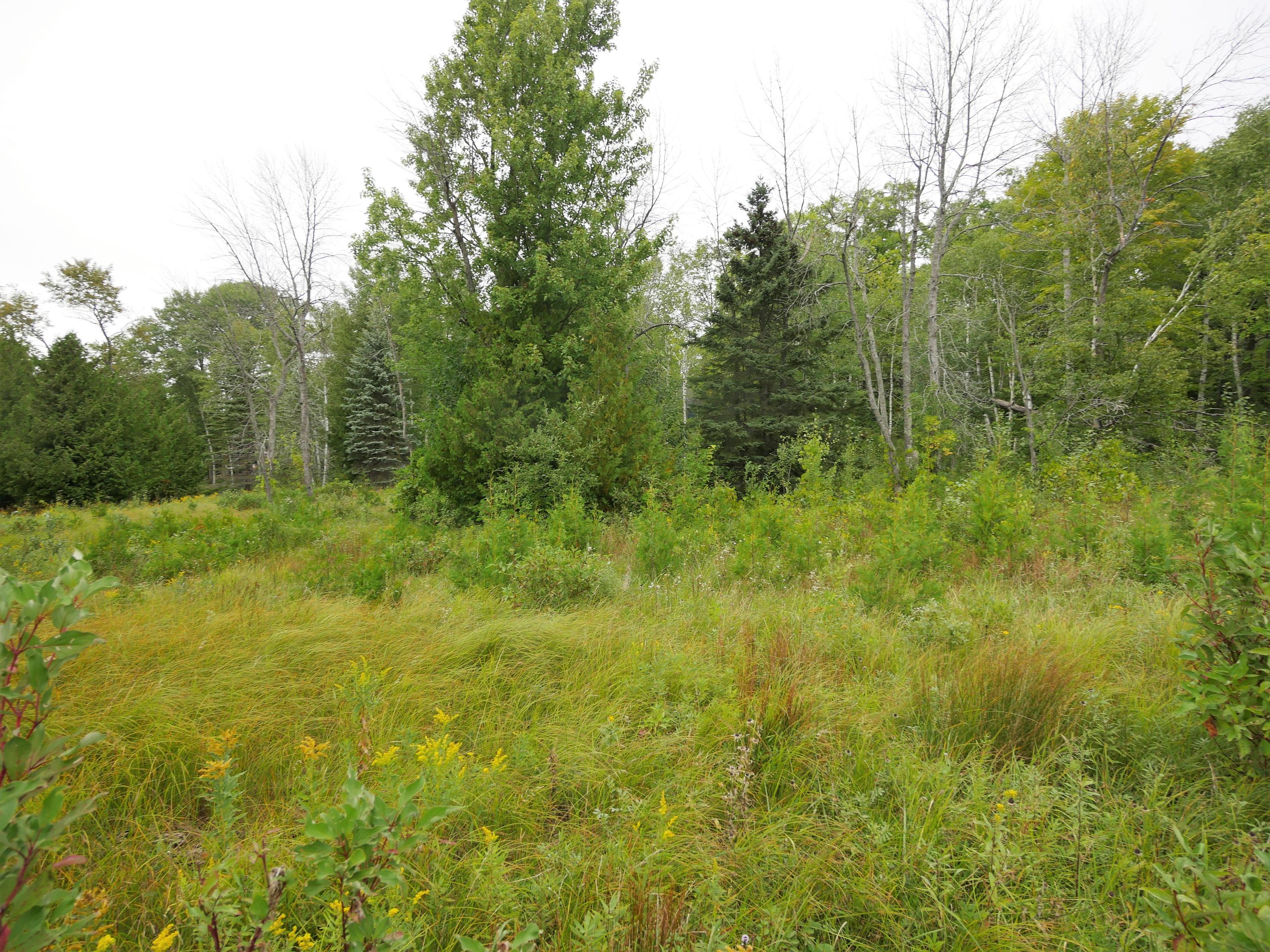 10074 Whiskey Point Road Presque Isle, MI 49777 - Photo 16 of 28 Gallery Image 16