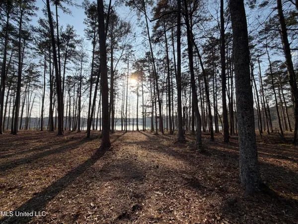 $249,999 | 167 Crawford Camp Lane, Monticello, MS 39654