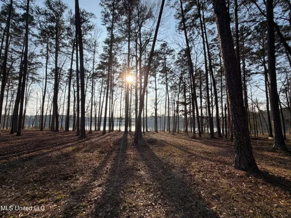 $249,999 | 167 Crawford Camp Lane, Monticello, MS 39654