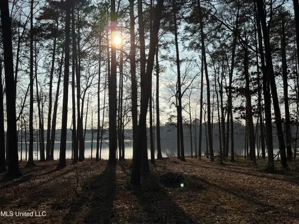 $249,999 | 167 Crawford Camp Lane, Monticello, MS 39654