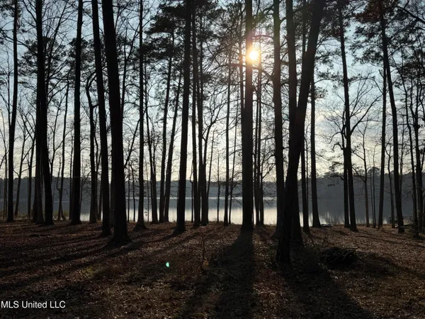 $249,999 | 167 Crawford Camp Lane, Monticello, MS 39654