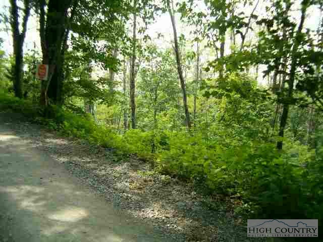 Andy Hicks Road Boone, NC 28607 - Photo 1 of 1 a view of a lush green forest