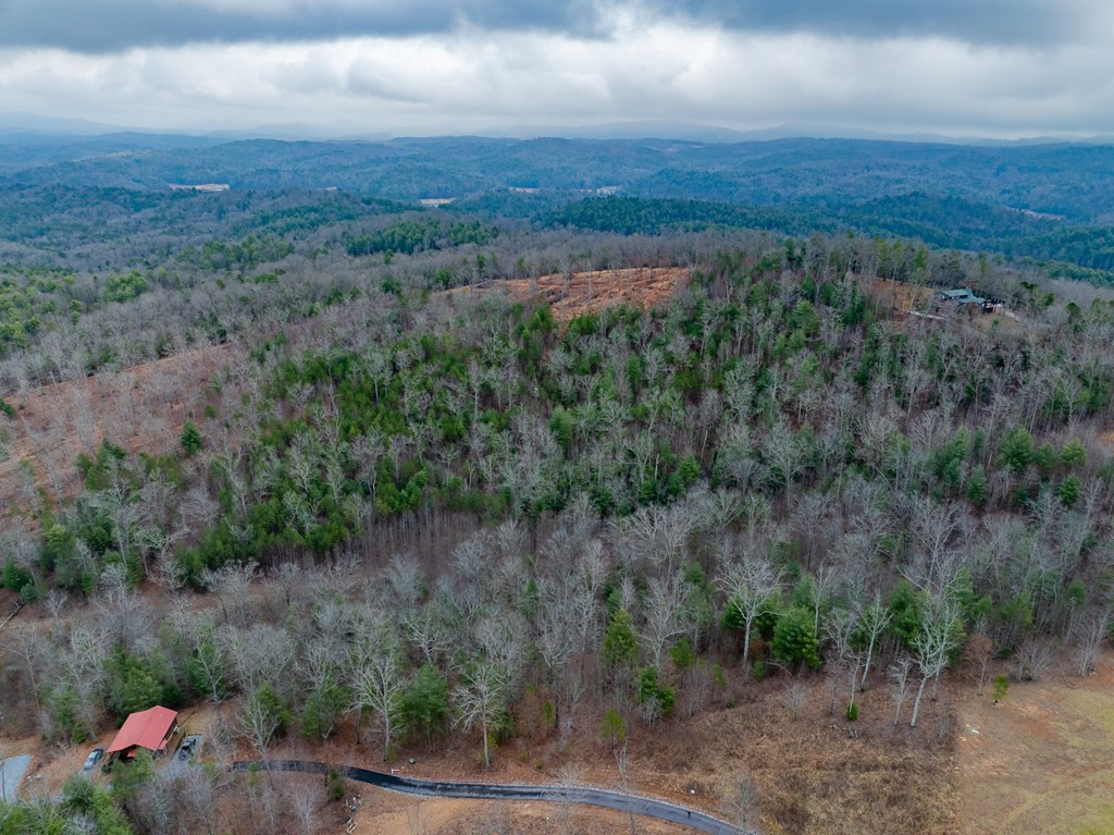 Lot 63 Lake Wood Road Murphy, NC 28906 - Photo 13 of 28