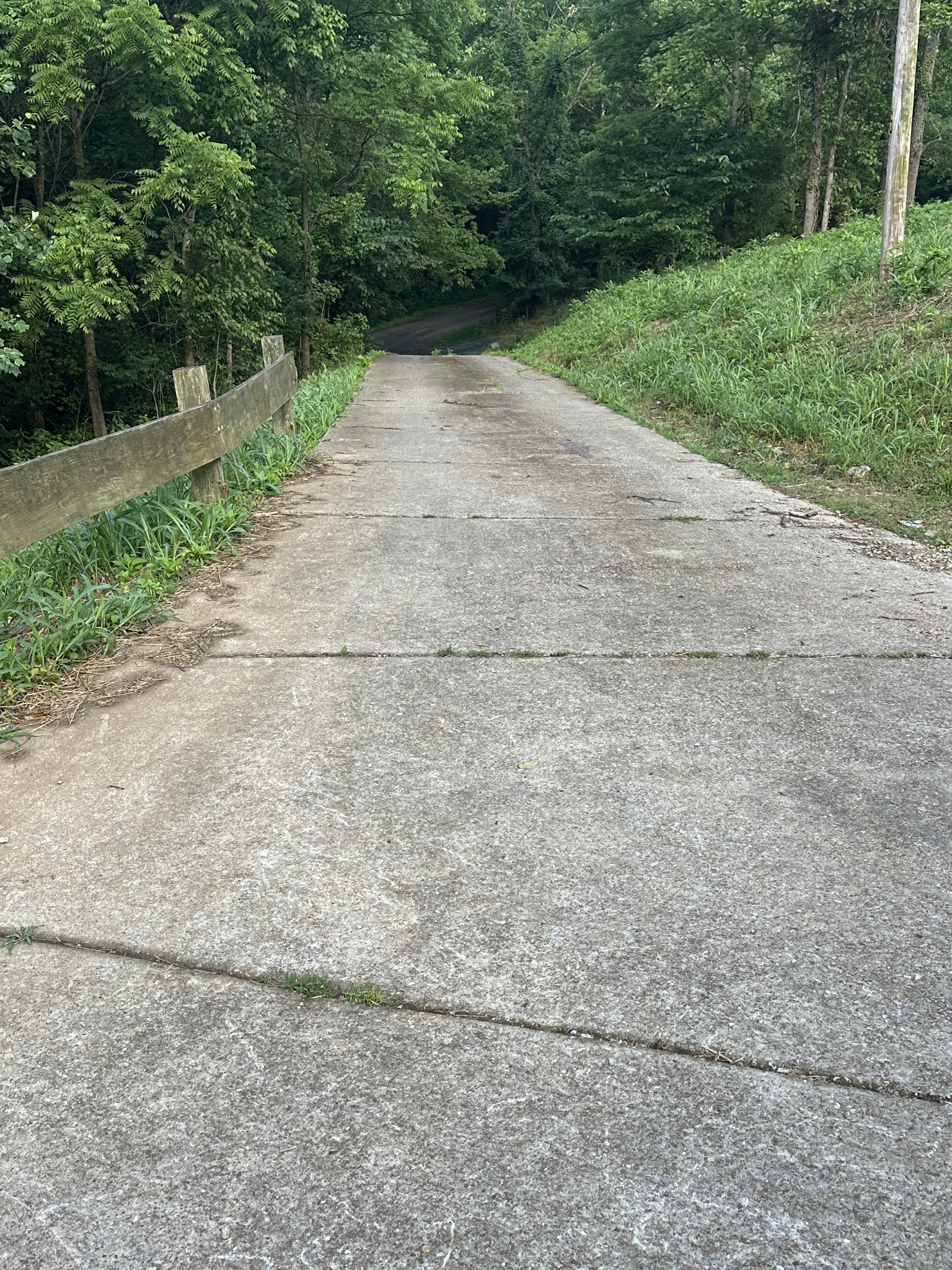 45 Friendship Hollow Road Pleasant Shade, TN 37145 - Photo 6 of 15