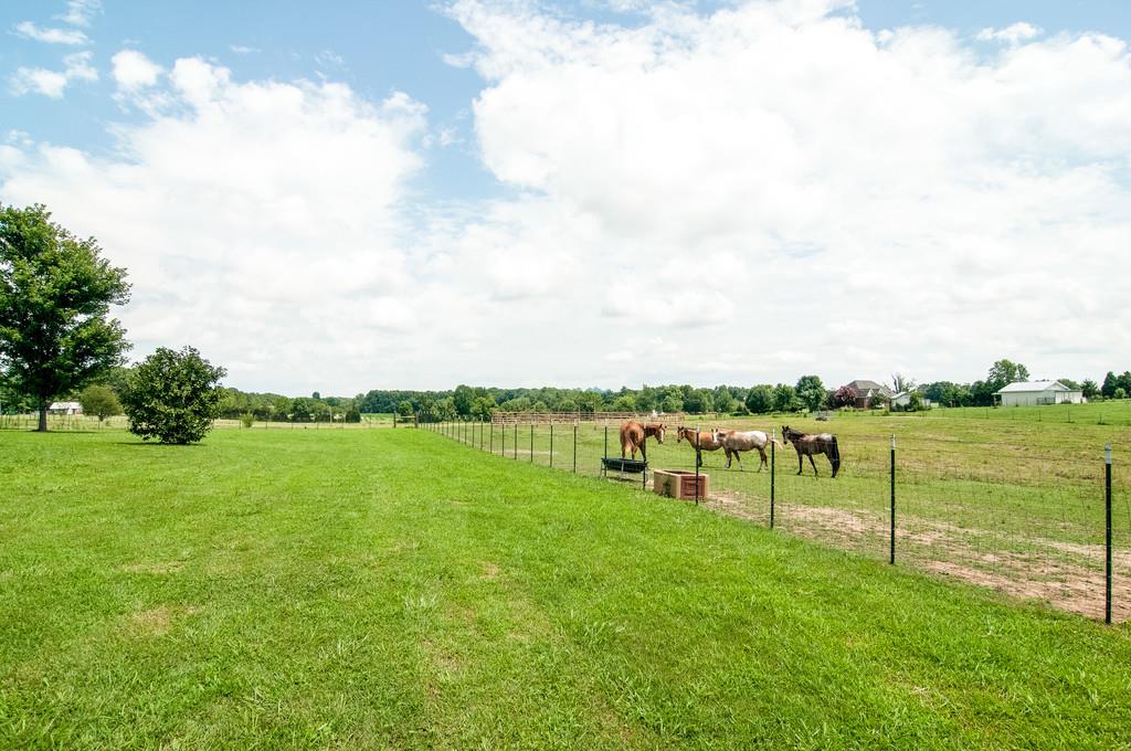 283 Fairview Road Dickson, TN 37055 - Photo 23 of 30 Gallery Image 23
