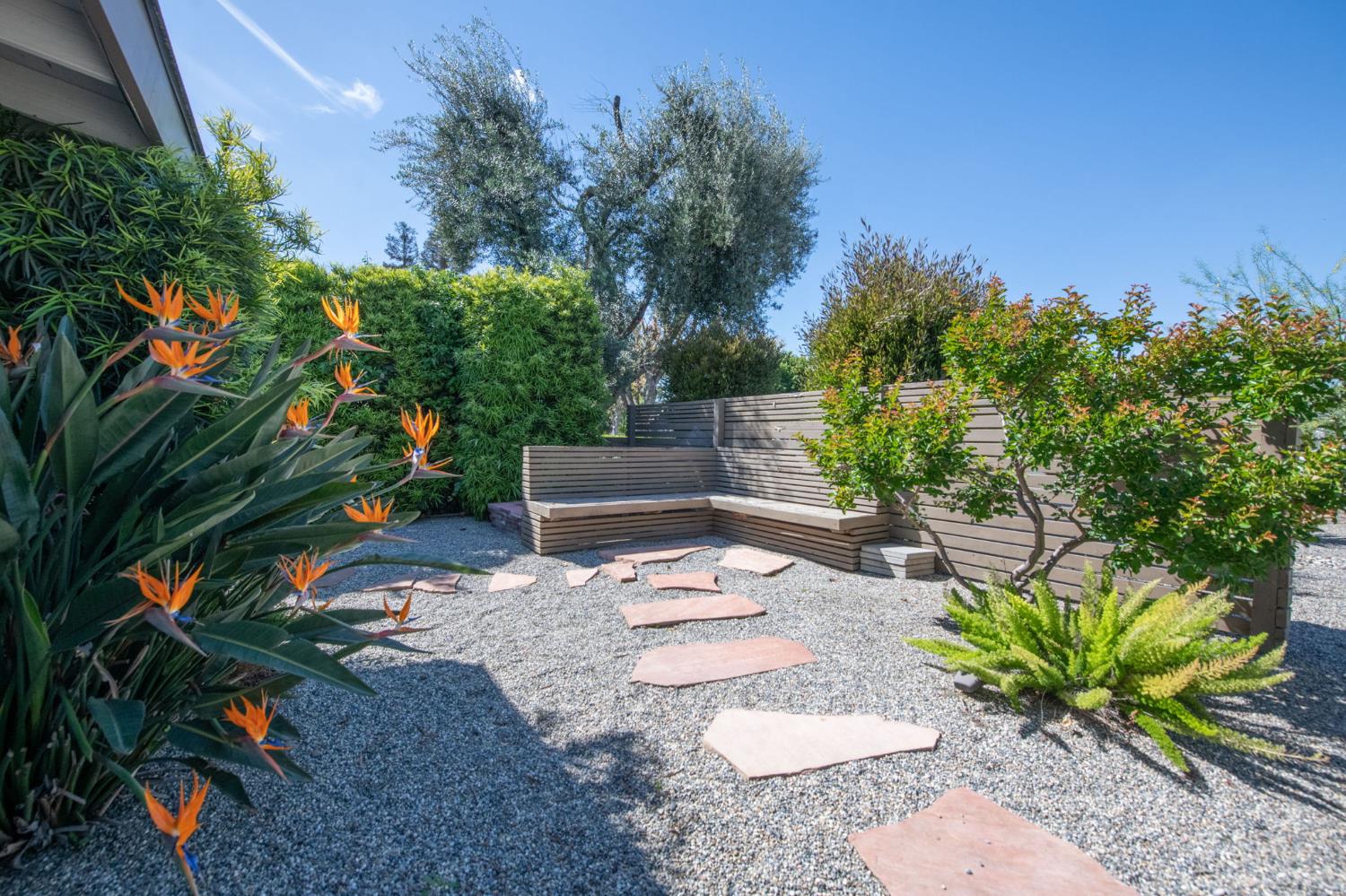 1527 West San Ramon Avenue Fresno, CA 93711 - Photo 55 of 55 a backyard of a house with lots of green space