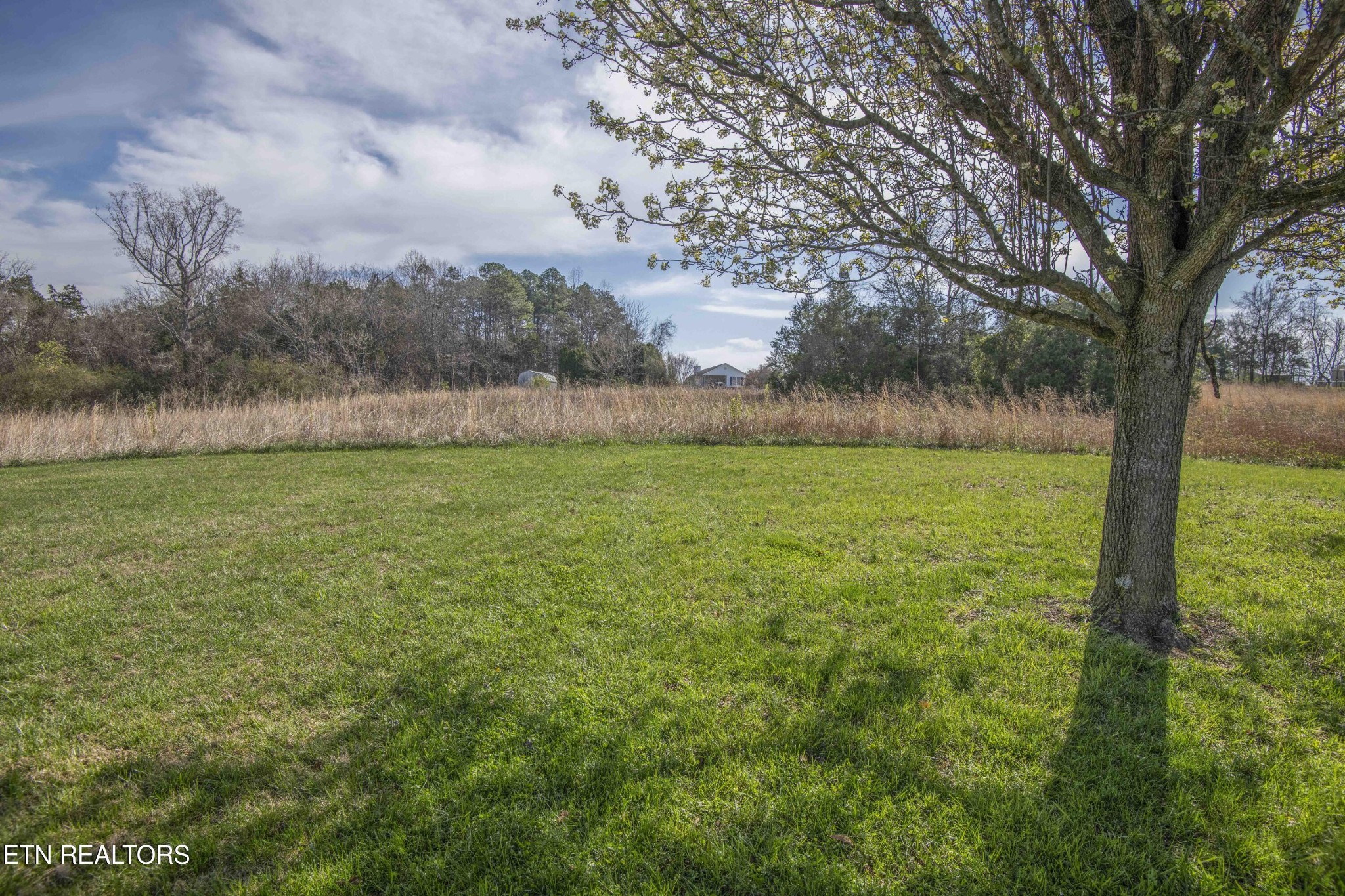 9656 Captain Smith Lane Corryton, TN 37721 - Photo 49 of 52