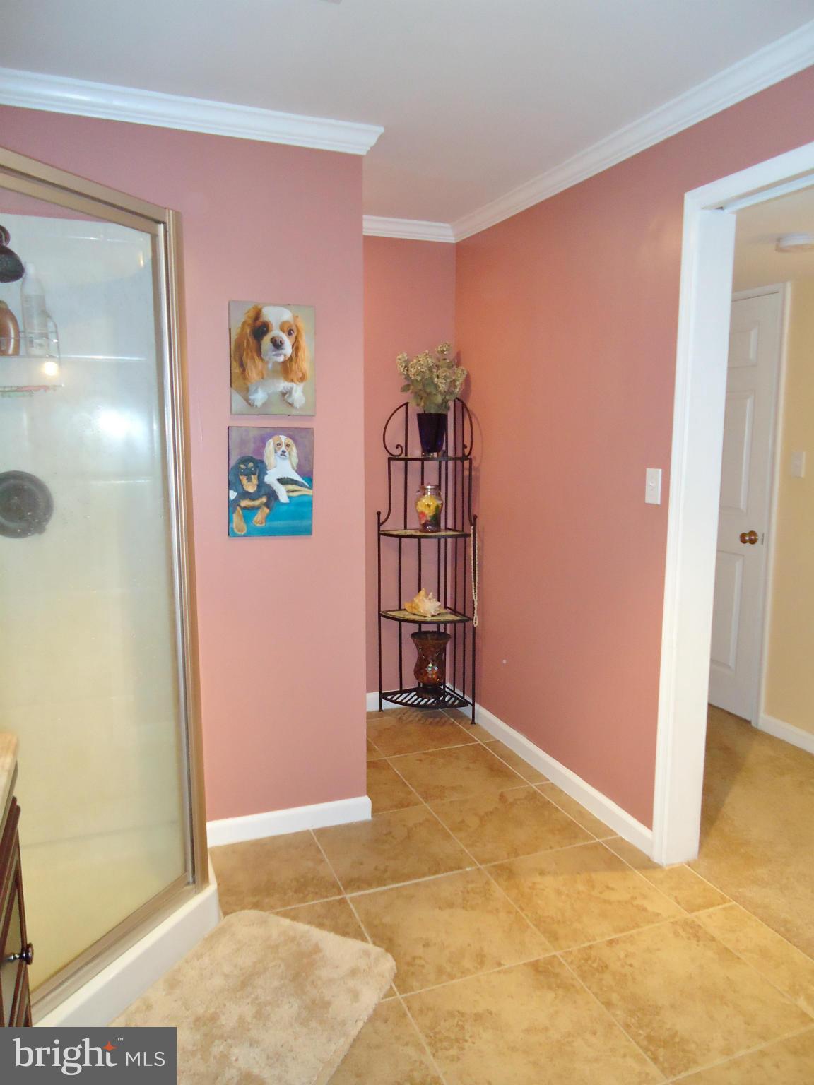 132 Quarry Road Stafford, VA 22554 - Photo 23 of 30 Bath (Master)