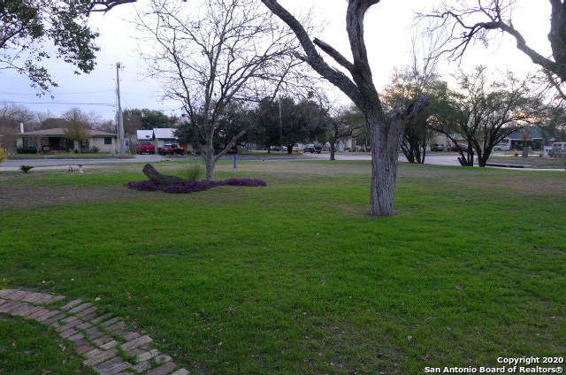 a view of yard with tree s