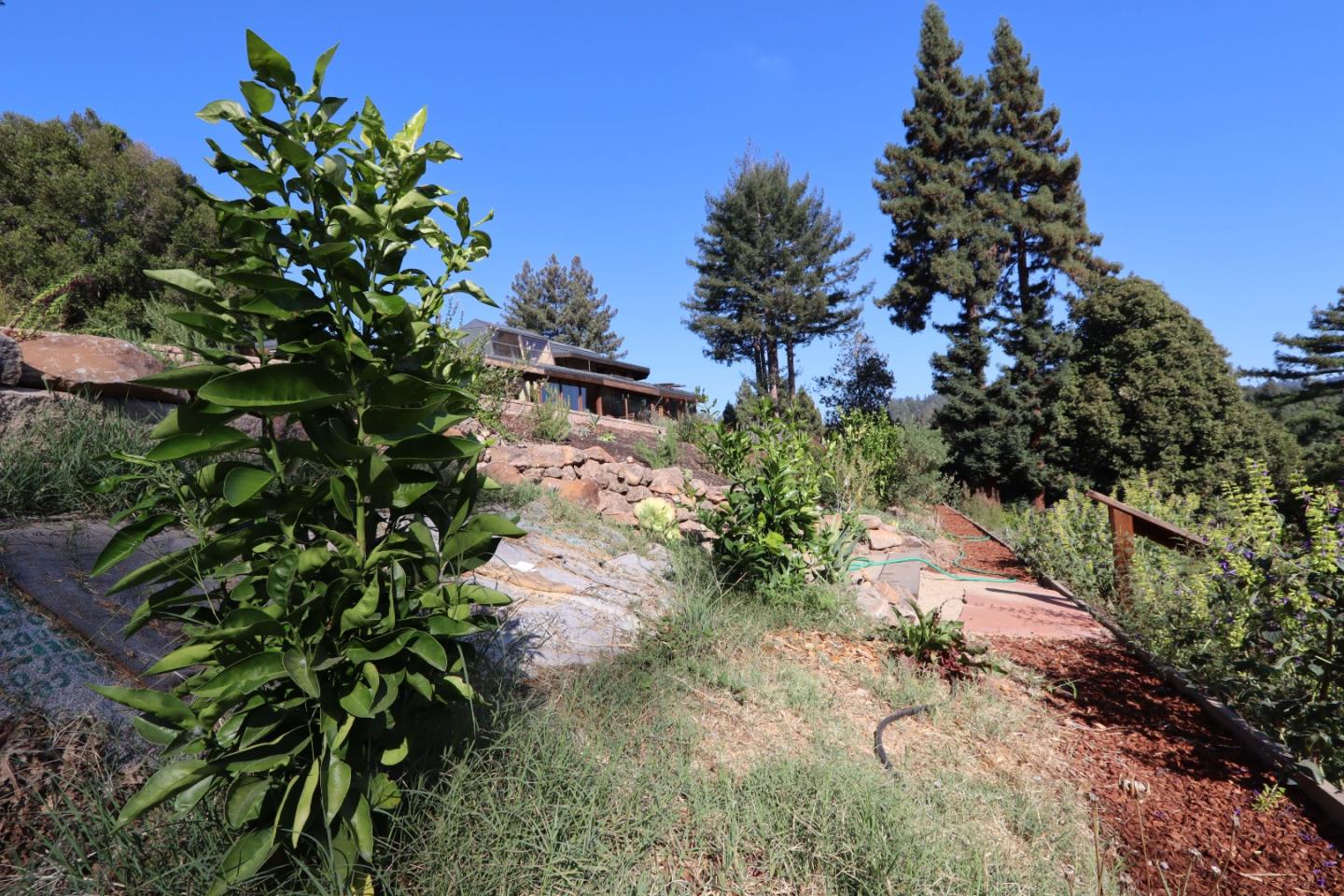 2001 Sparrow Valley Road Aptos, CA 95003 - Photo 35 of 48 Gallery Image 35