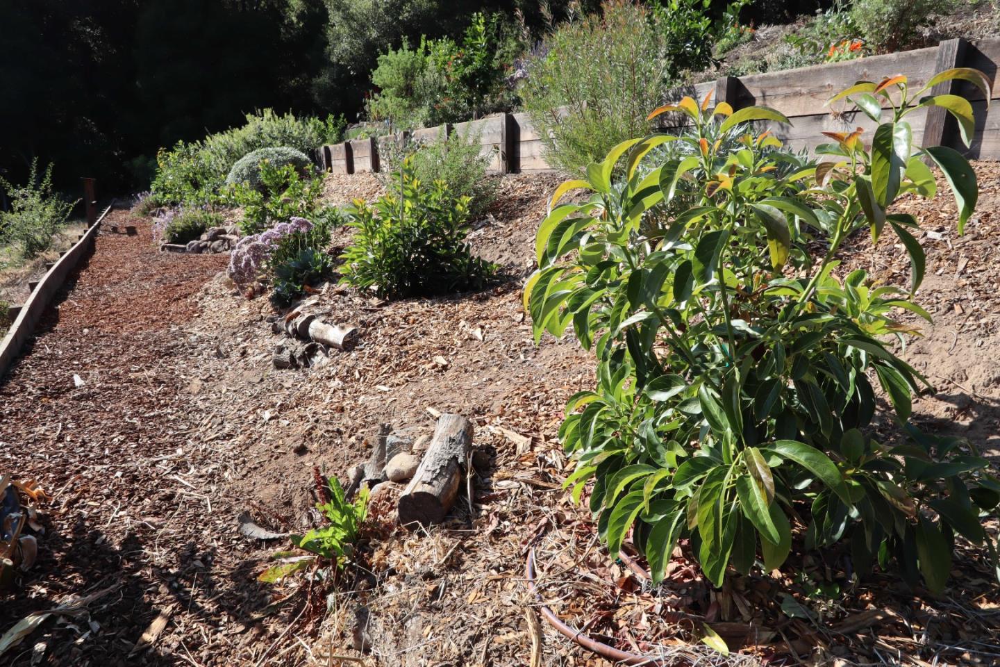 2001 Sparrow Valley Road Aptos, CA 95003 - Photo 38 of 48 Gallery Image 38