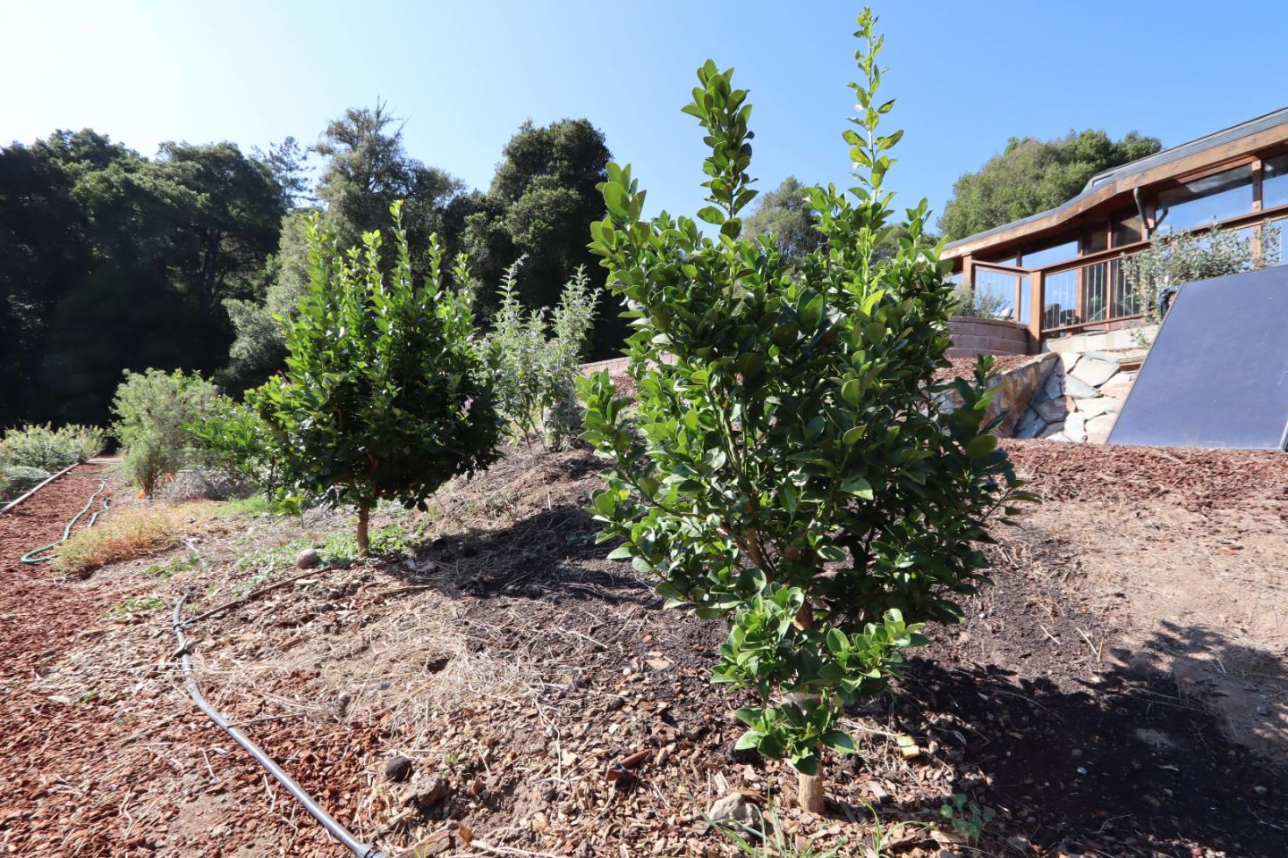 2001 Sparrow Valley Road Aptos, CA 95003 - Photo 41 of 48 Gallery Image 41