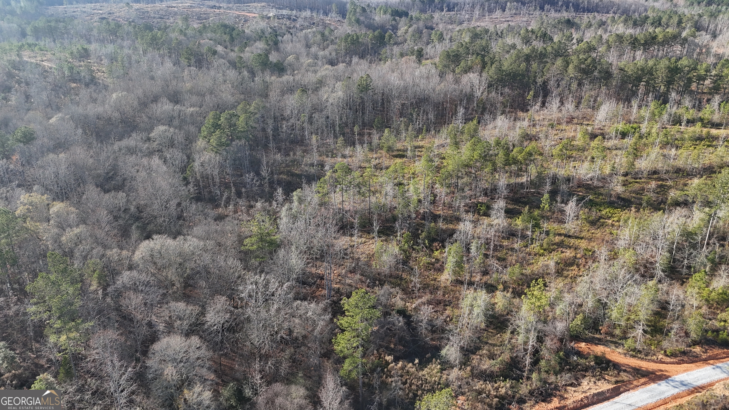 18 Turning Point Way Elberton, GA 30635 - Photo 11 of 73 a view of a lush green forest with lots of trees
