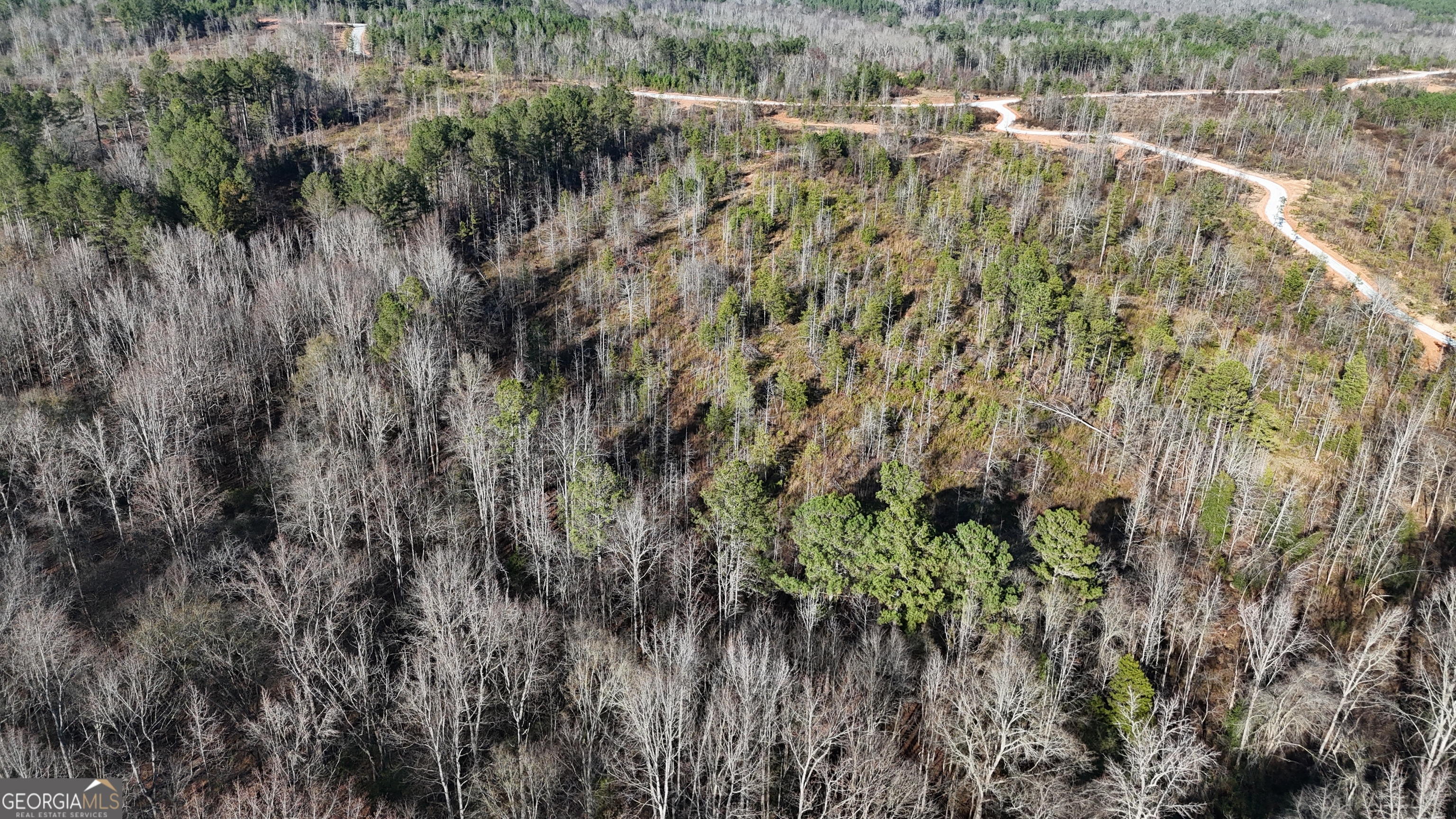 18 Turning Point Way Elberton, GA 30635 - Photo 12 of 73 a view of a yard with a tree