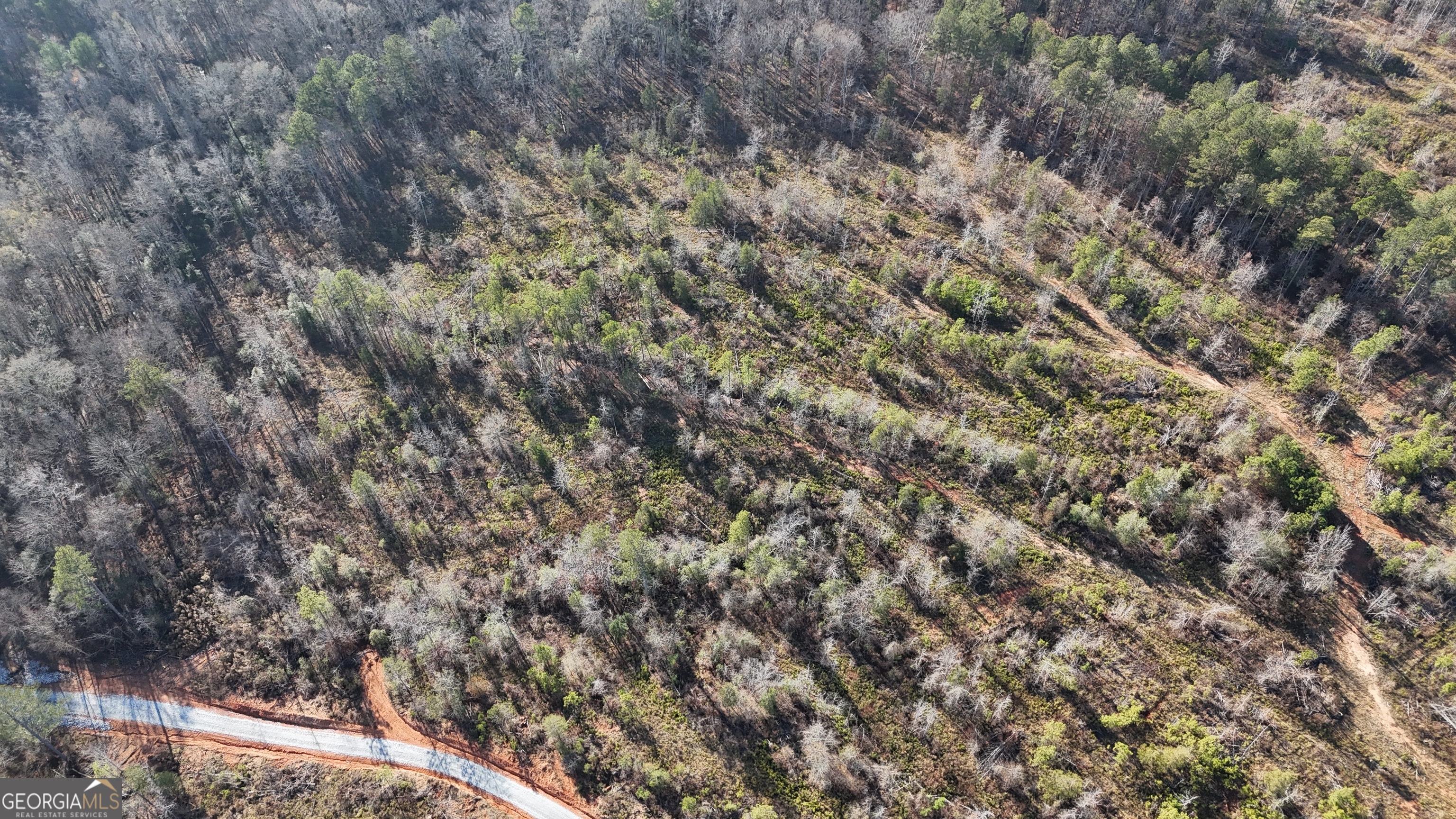 18 Turning Point Way Elberton, GA 30635 - Photo 16 of 73 a view of a city with lush green forest