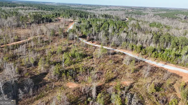 a view of a forest with a houses