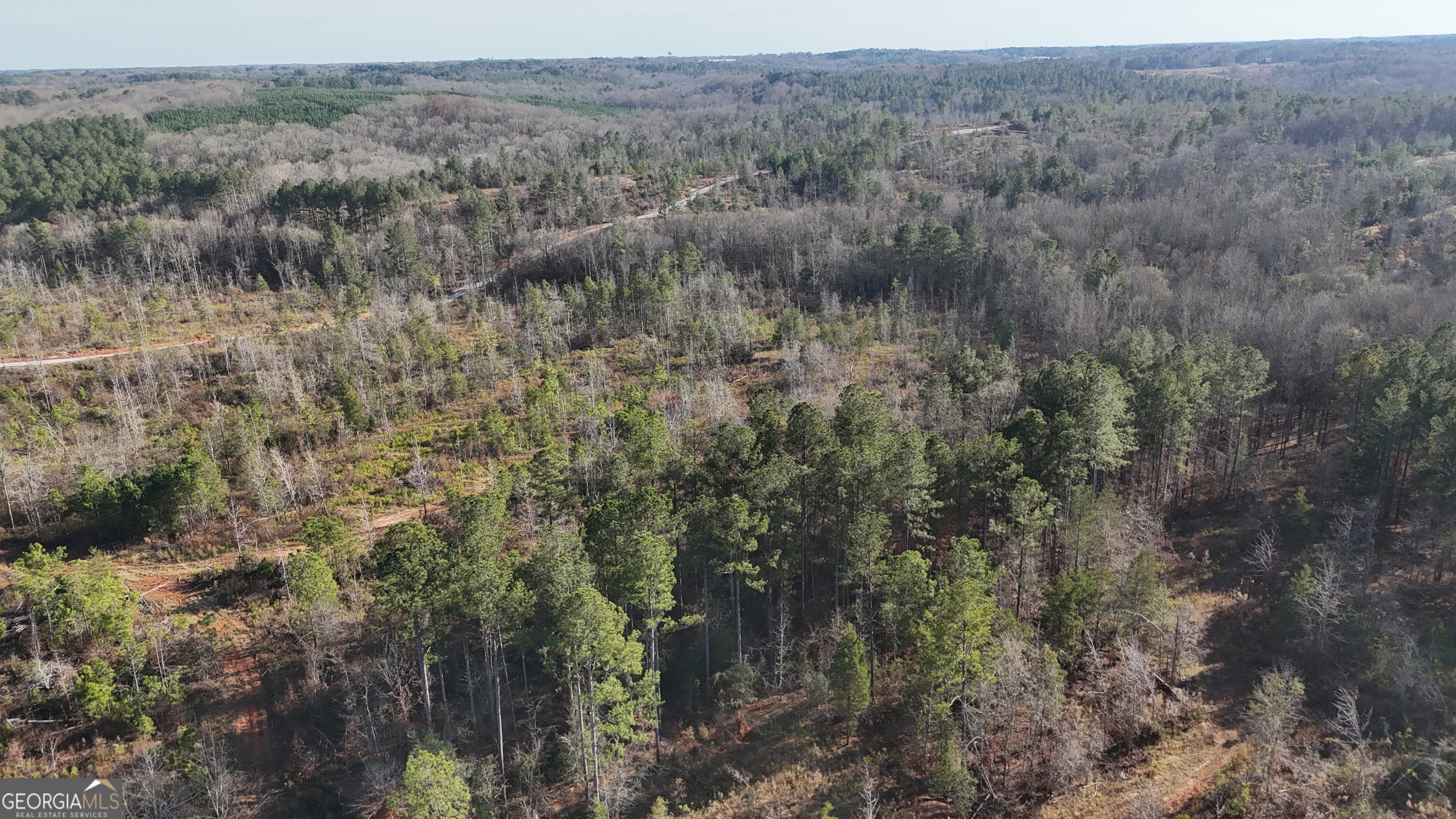 18 Turning Point Way Elberton, GA 30635 - Photo 20 of 73 a view of a field of grass and trees