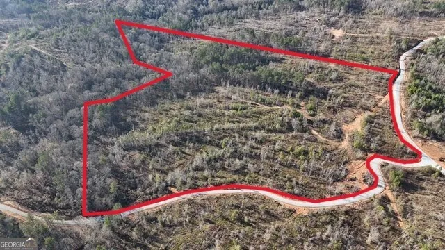 a view of a dry yard