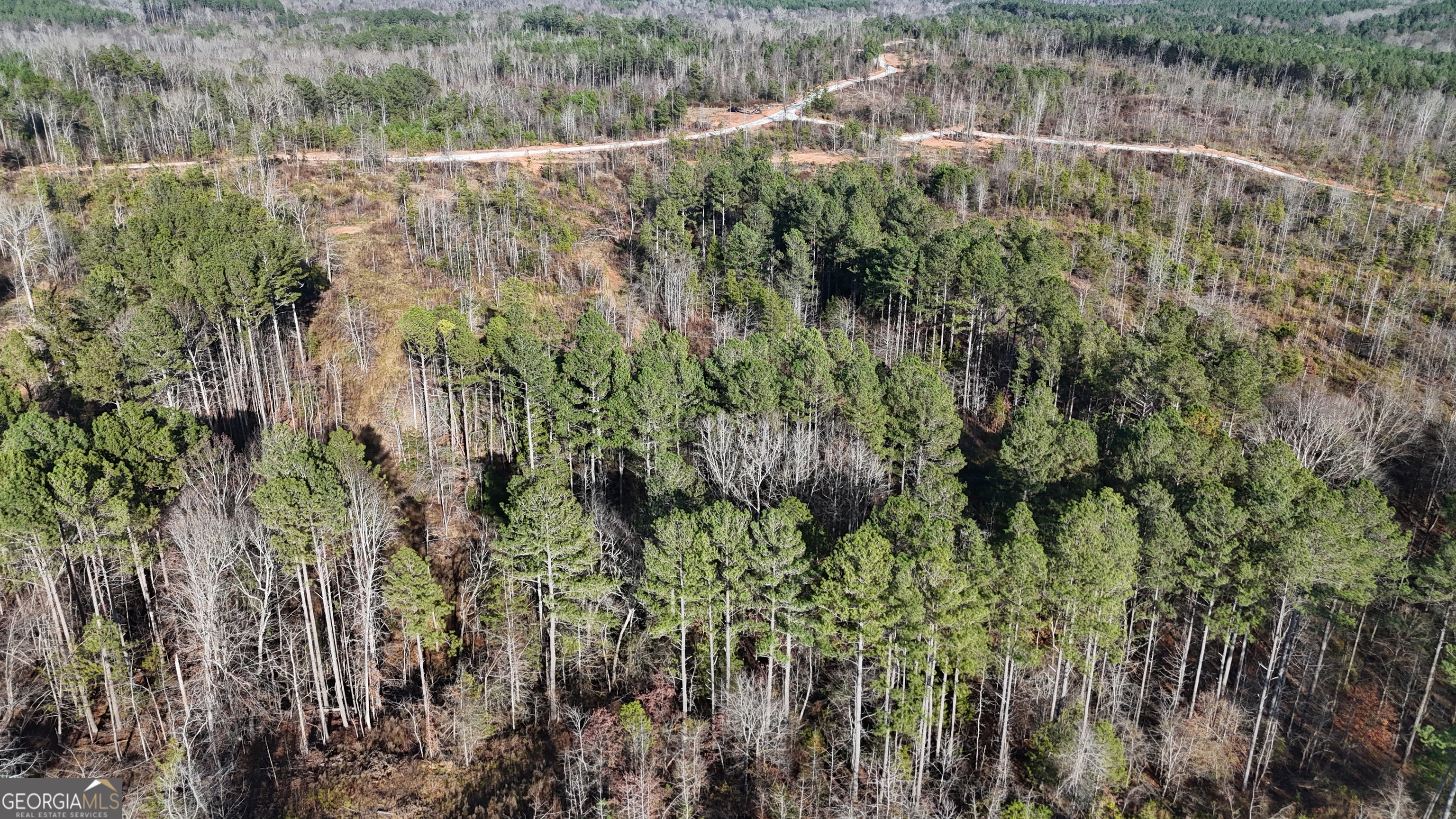 18 Turning Point Way Elberton, GA 30635 - Photo 25 of 73 a view of a forest with a houses