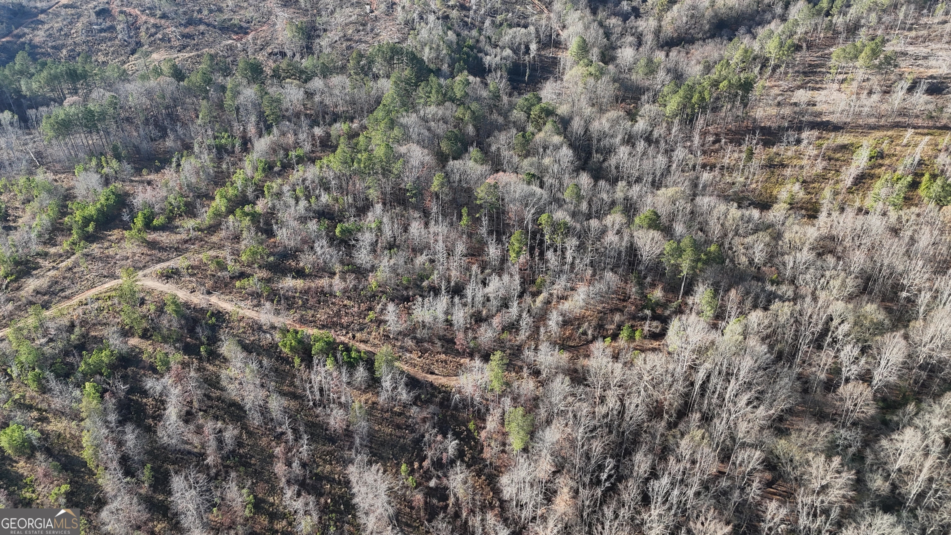 18 Turning Point Way Elberton, GA 30635 - Photo 28 of 73 a view of a covered with green field