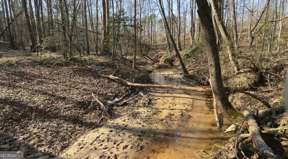 18 Turning Point Way Elberton, GA 30635 - Photo 33 of 75