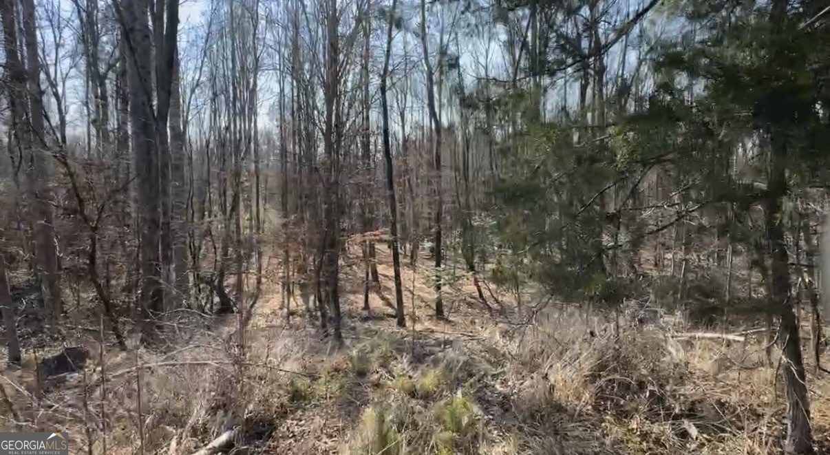 18 Turning Point Way Elberton, GA 30635 - Photo 33 of 73