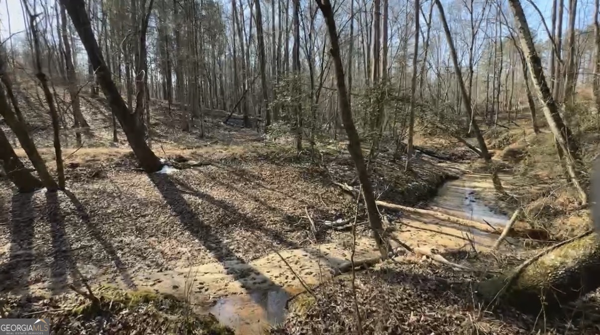 18 Turning Point Way Elberton, GA 30635 - Photo 34 of 73 a view of a forest with trees