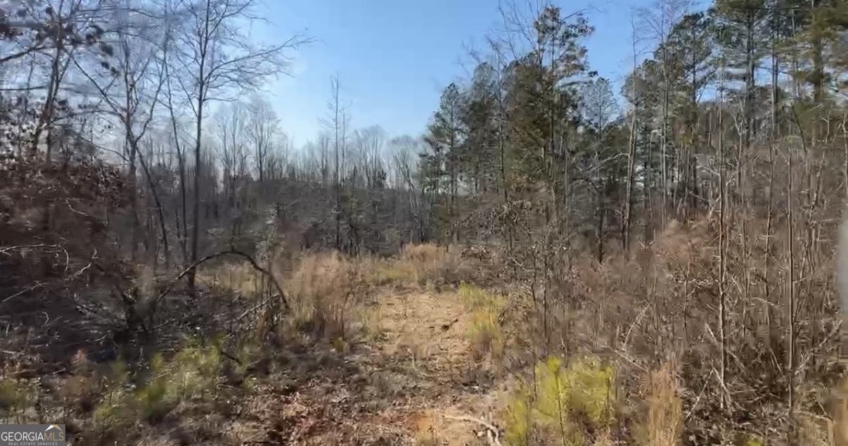 18 Turning Point Way Elberton, GA 30635 - Photo 34 of 75