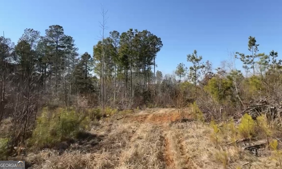 18 Turning Point Way Elberton, GA 30635 - Photo 36 of 73 a view of a yard with a tree