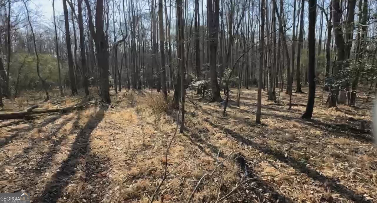18 Turning Point Way Elberton, GA 30635 - Photo 37 of 75
