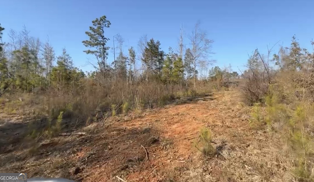 18 Turning Point Way Elberton, GA 30635 - Photo 39 of 75