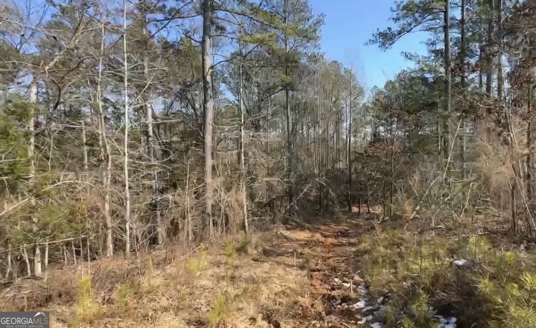 18 Turning Point Way Elberton, GA 30635 - Photo 40 of 75