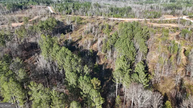 a view of a forest with a building