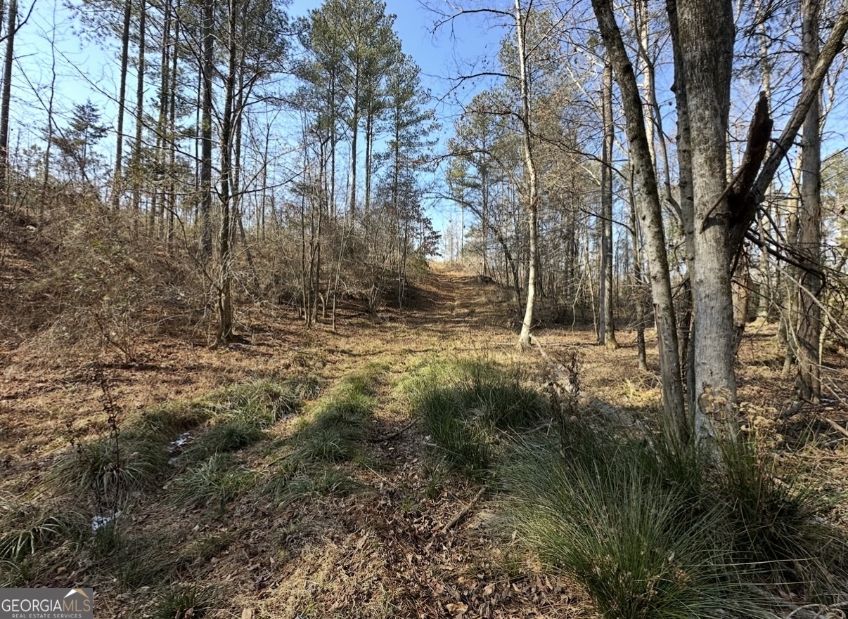 18 Turning Point Way Elberton, GA 30635 - Photo 41 of 73 a view of backyard