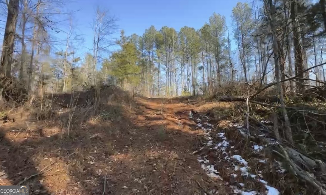 18 Turning Point Way Elberton, GA 30635 - Photo 41 of 75