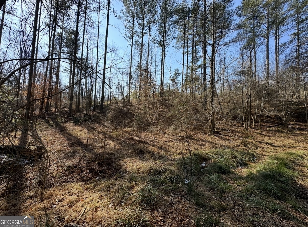 18 Turning Point Way Elberton, GA 30635 - Photo 42 of 73