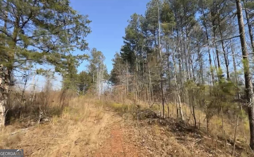 18 Turning Point Way Elberton, GA 30635 - Photo 42 of 75