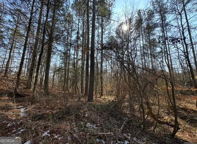a view of outdoor space with trees