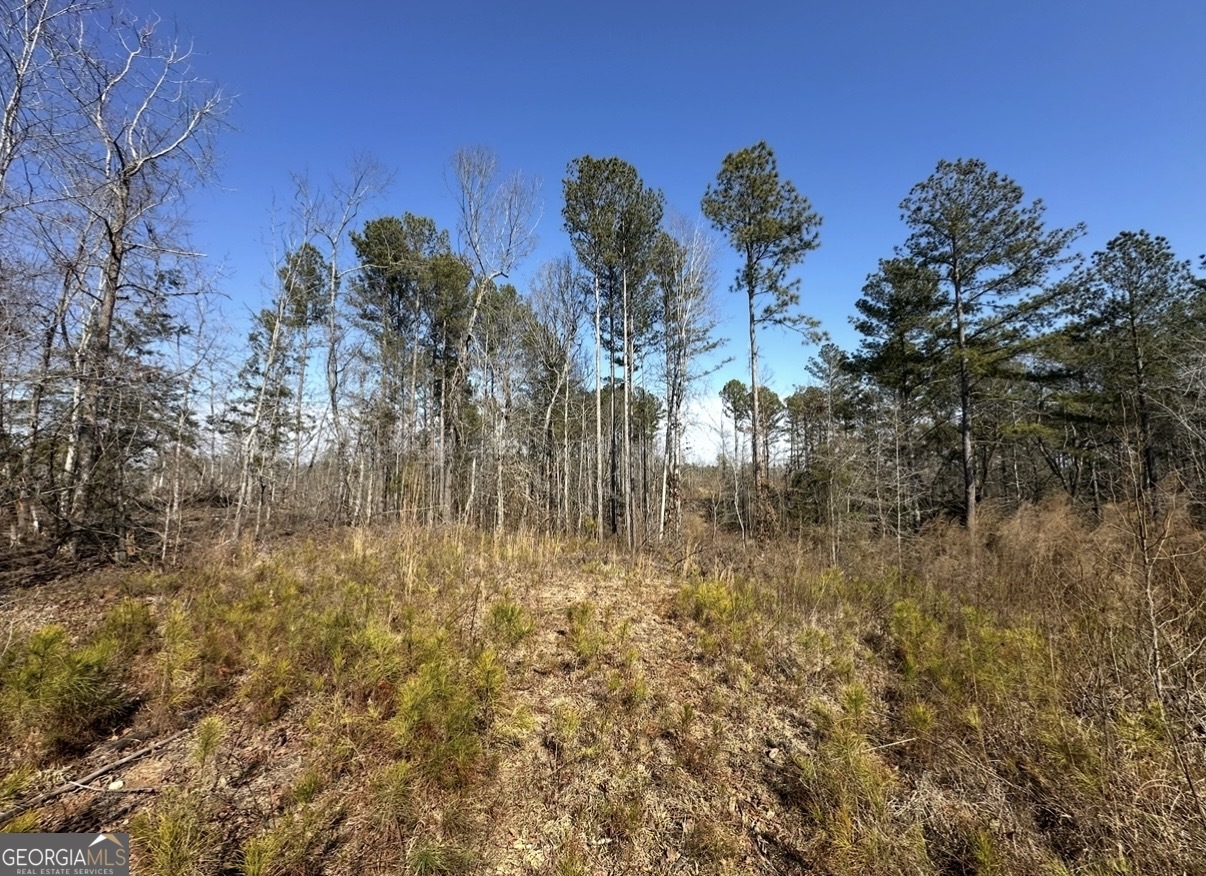 18 Turning Point Way Elberton, GA 30635 - Photo 45 of 75