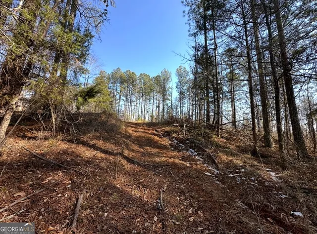 a view of dirt yard with mountain view