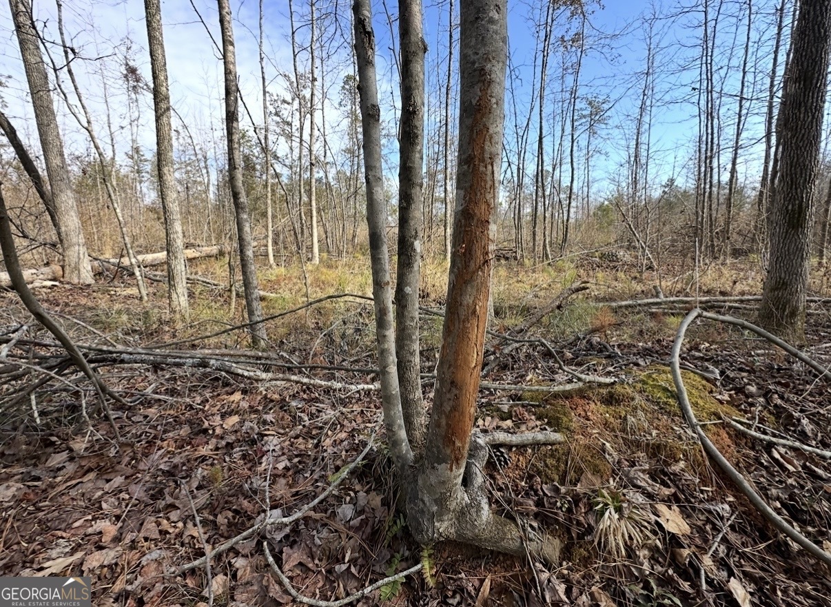 18 Turning Point Way Elberton, GA 30635 - Photo 48 of 75