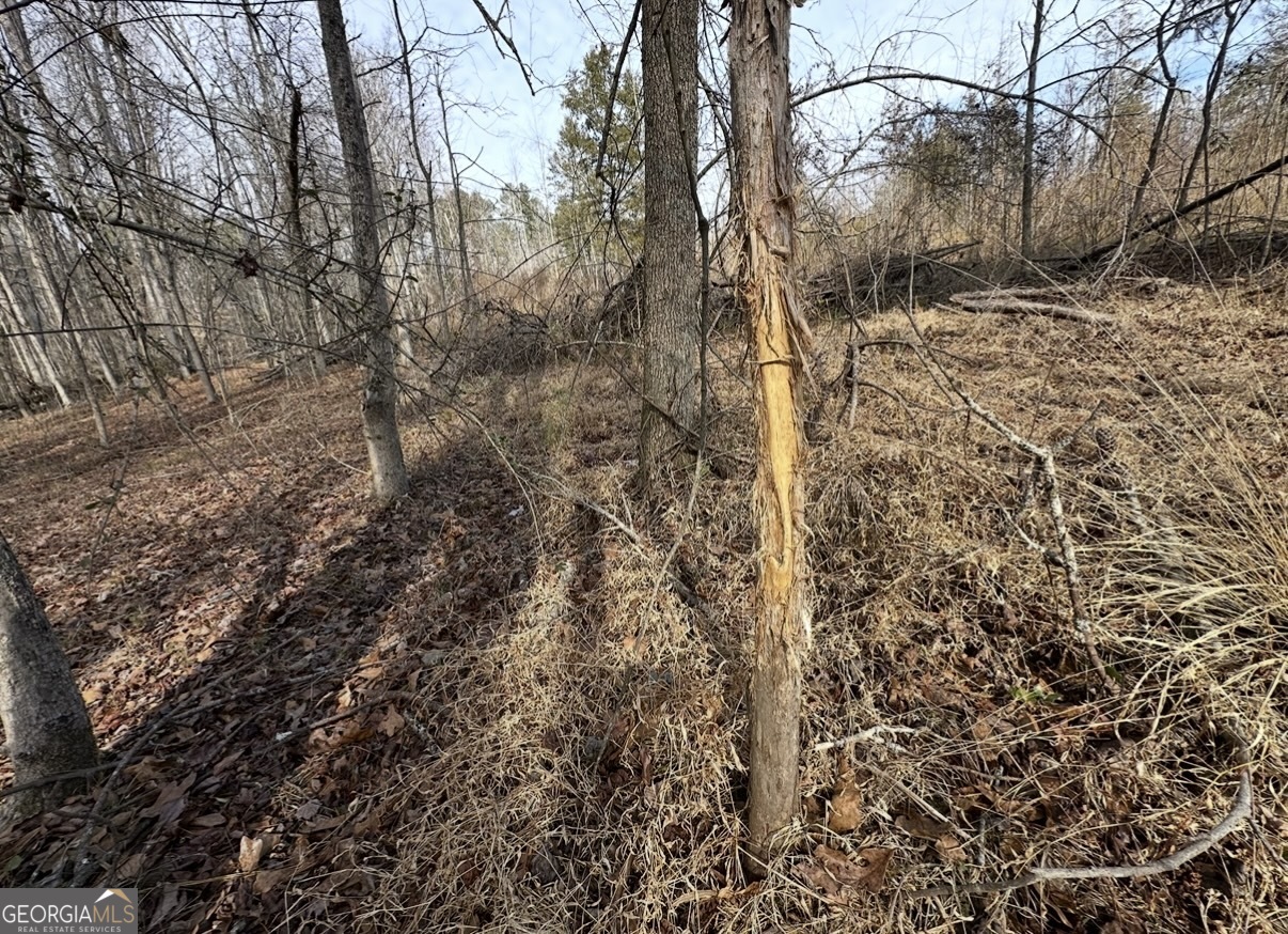 18 Turning Point Way Elberton, GA 30635 - Photo 48 of 73 a view of a yard with large trees
