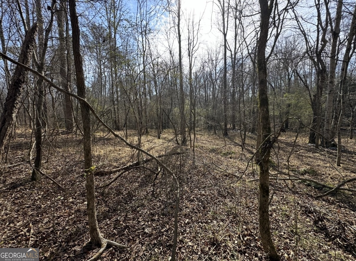 18 Turning Point Way Elberton, GA 30635 - Photo 50 of 73 a view of outdoor space with trees