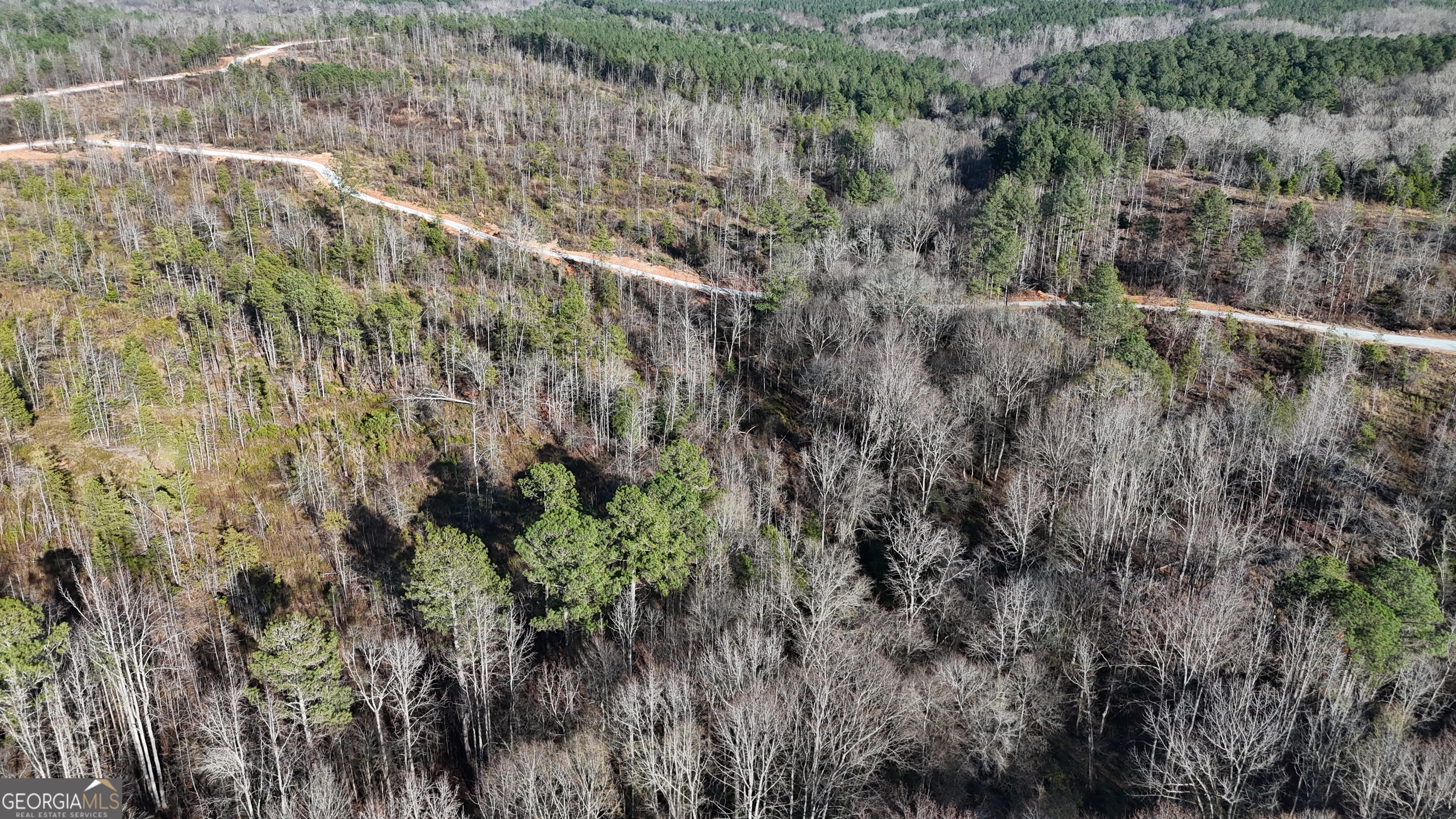 18 Turning Point Way Elberton, GA 30635 - Photo 5 of 73 a view of a forest with a building