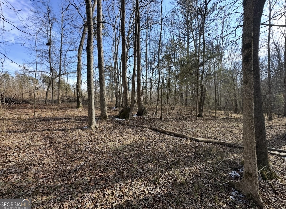 18 Turning Point Way Elberton, GA 30635 - Photo 51 of 73 a backyard of a house with lots of green space