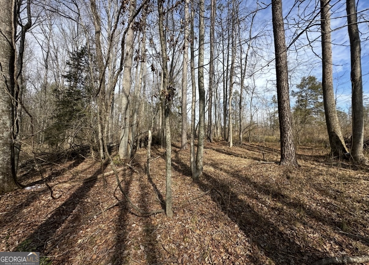 18 Turning Point Way Elberton, GA 30635 - Photo 53 of 75